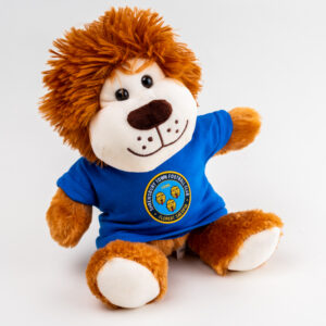 Lion Cuddly Toy | Shrews Shop