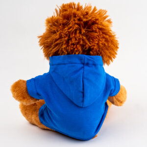 Lion Cuddly Toy 2 | Shrews Shop